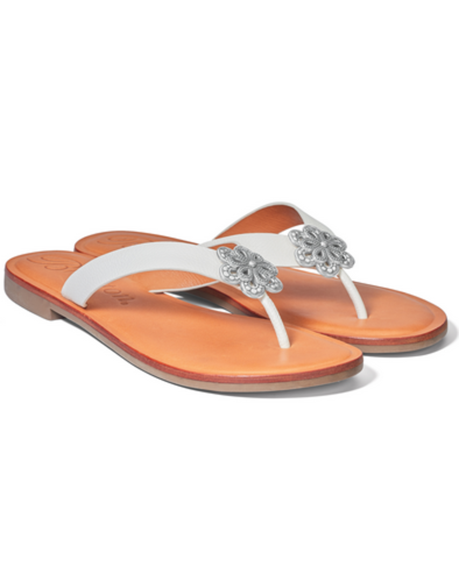 Brighton Brighton Aster ORC2 Flower Thong