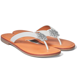 Brighton Brighton Aster ORC2 Flower Thong