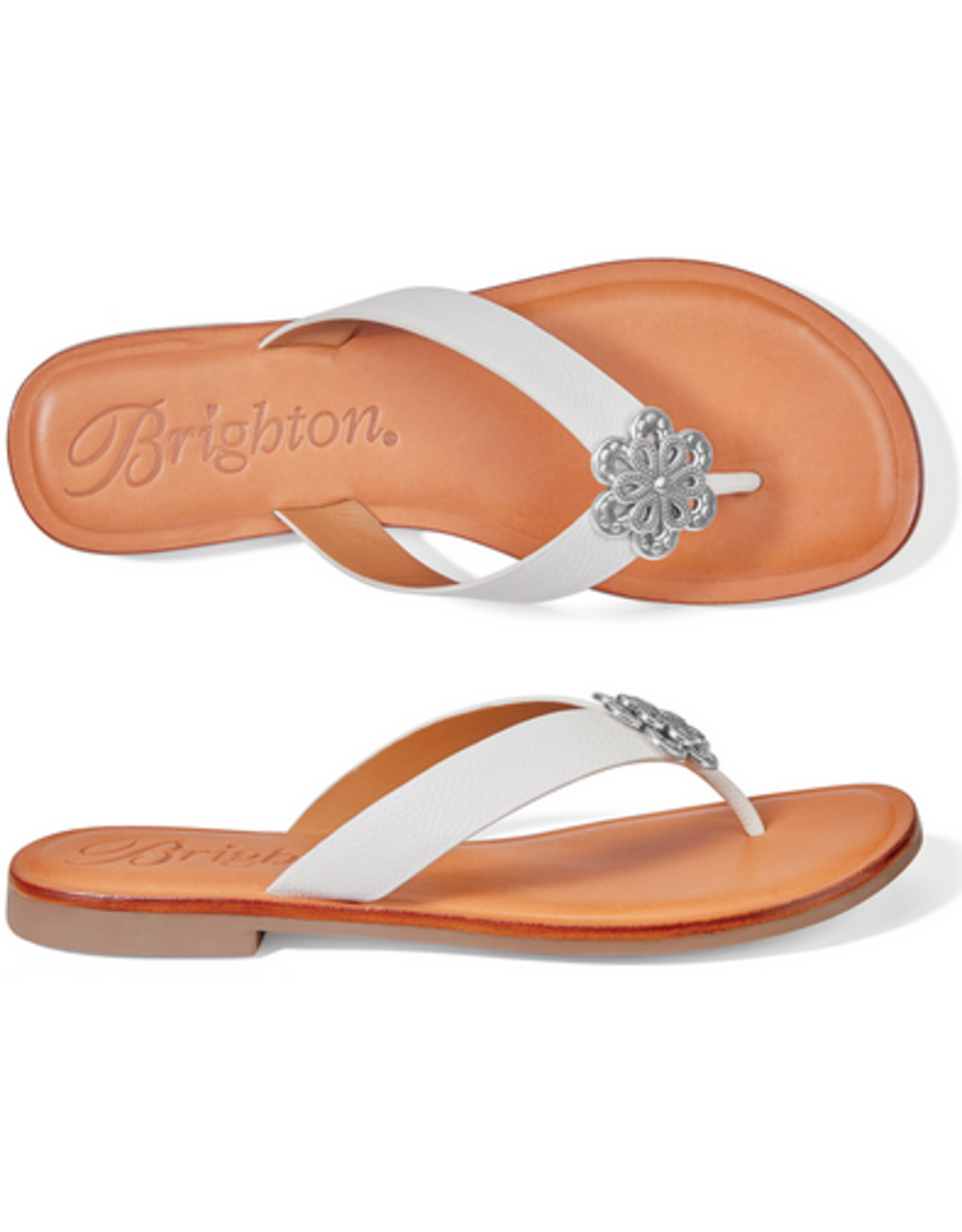 Brighton Brighton Aster ORC2 Flower Thong
