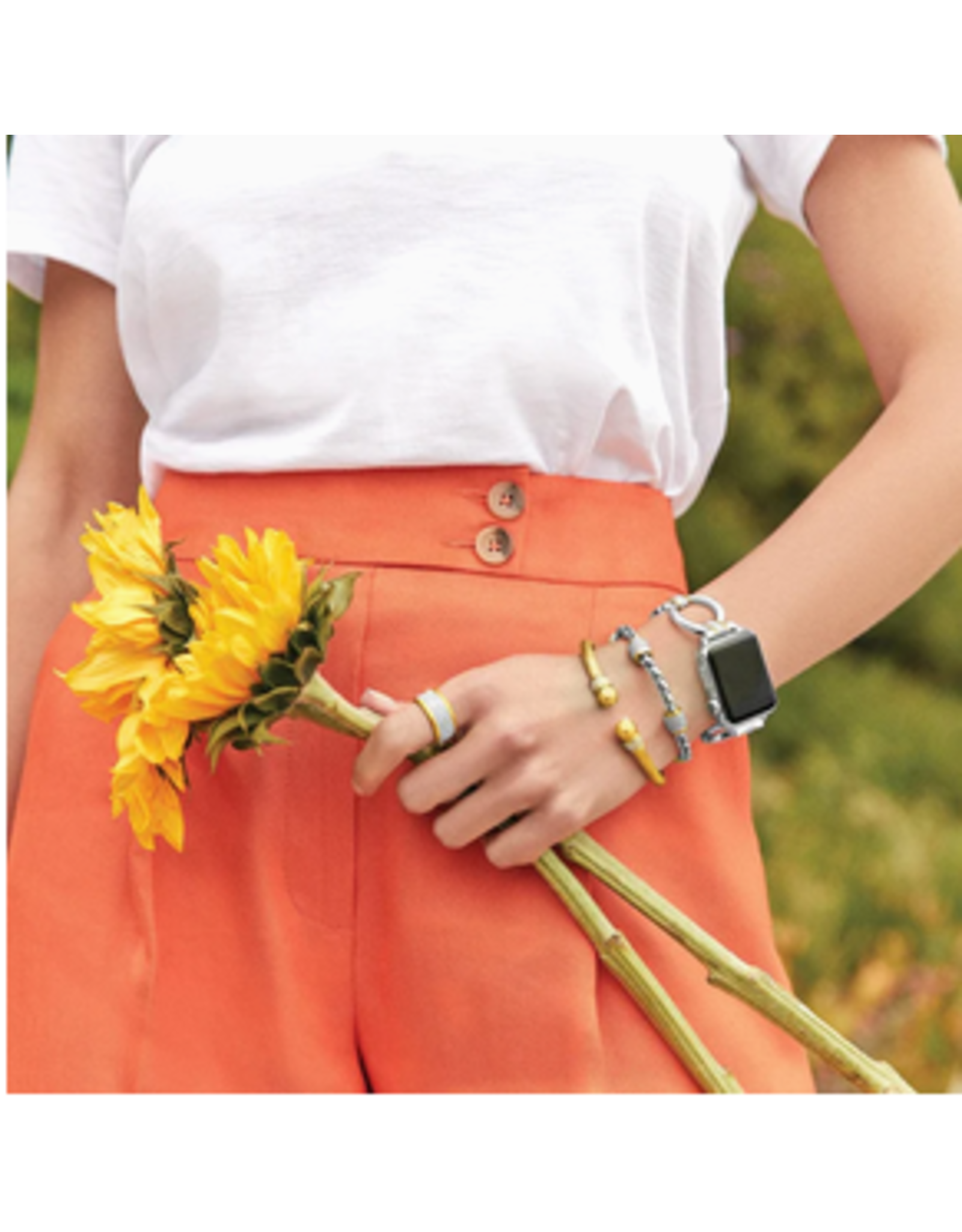 Brighton Brighton W30482 Meridian Tempo Apple Watch Band