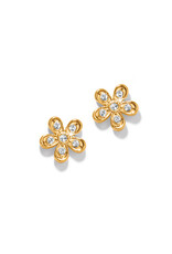 Brighton Brighton JA0028 Enchanted Gold Flower Post Earrings