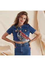 Hammitt Hammitt  Charles Crossbody Clear Gold Red Zipper 17348