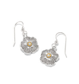 Brighton Brighton JA0013 Bella Garden French Wire Earring