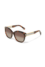 Brighton Brighton A13367 Intrigue Amber Tortoise Sunglasses