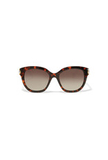 Brighton Brighton A13367 Intrigue Amber Tortoise Sunglasses