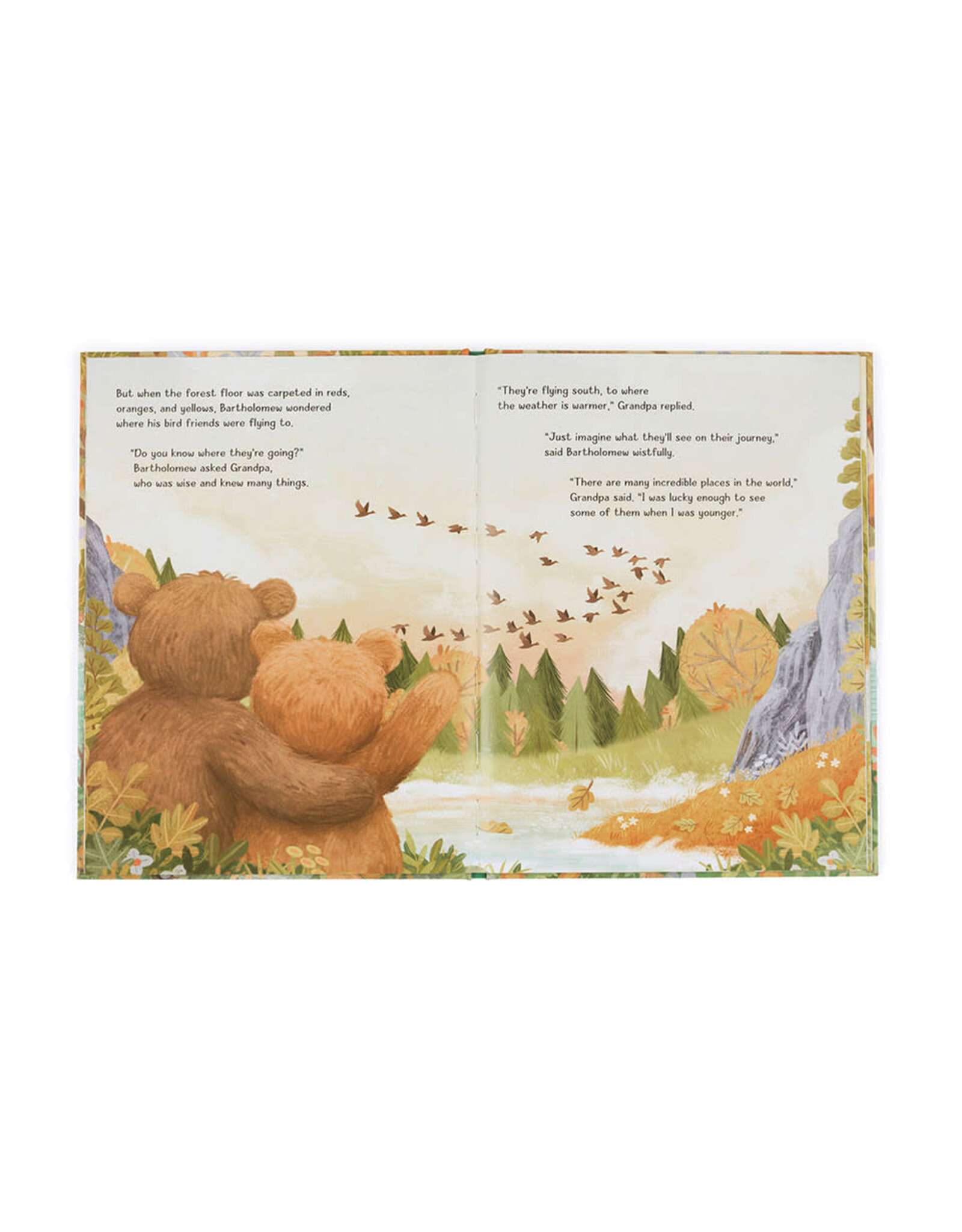 Jellycat Jellycat BK4BAR It’s A Big World Bartholomew  Book