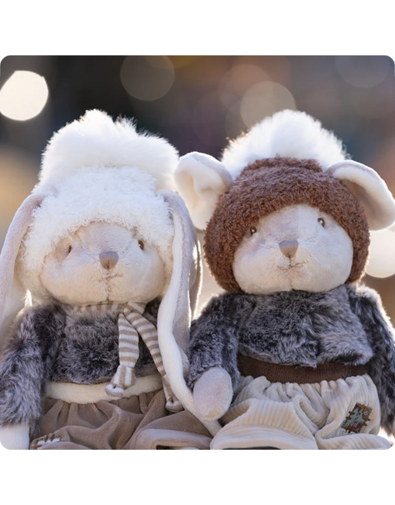 Bukowski Bears Bukowski 21111B Deen Rabbit