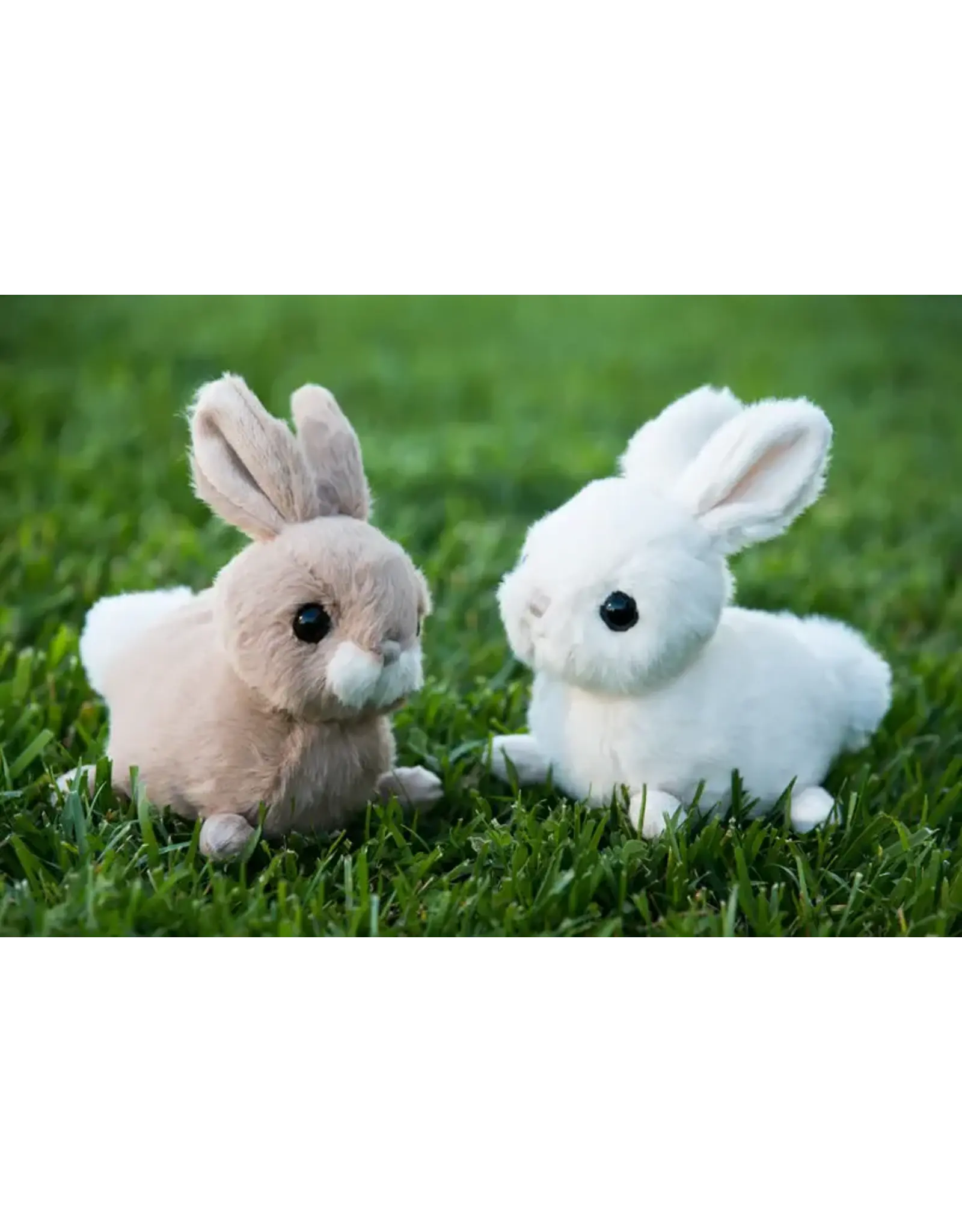 Bukowski Bears Bukowski 17-018J Zeus White Rabbit Small Bunny