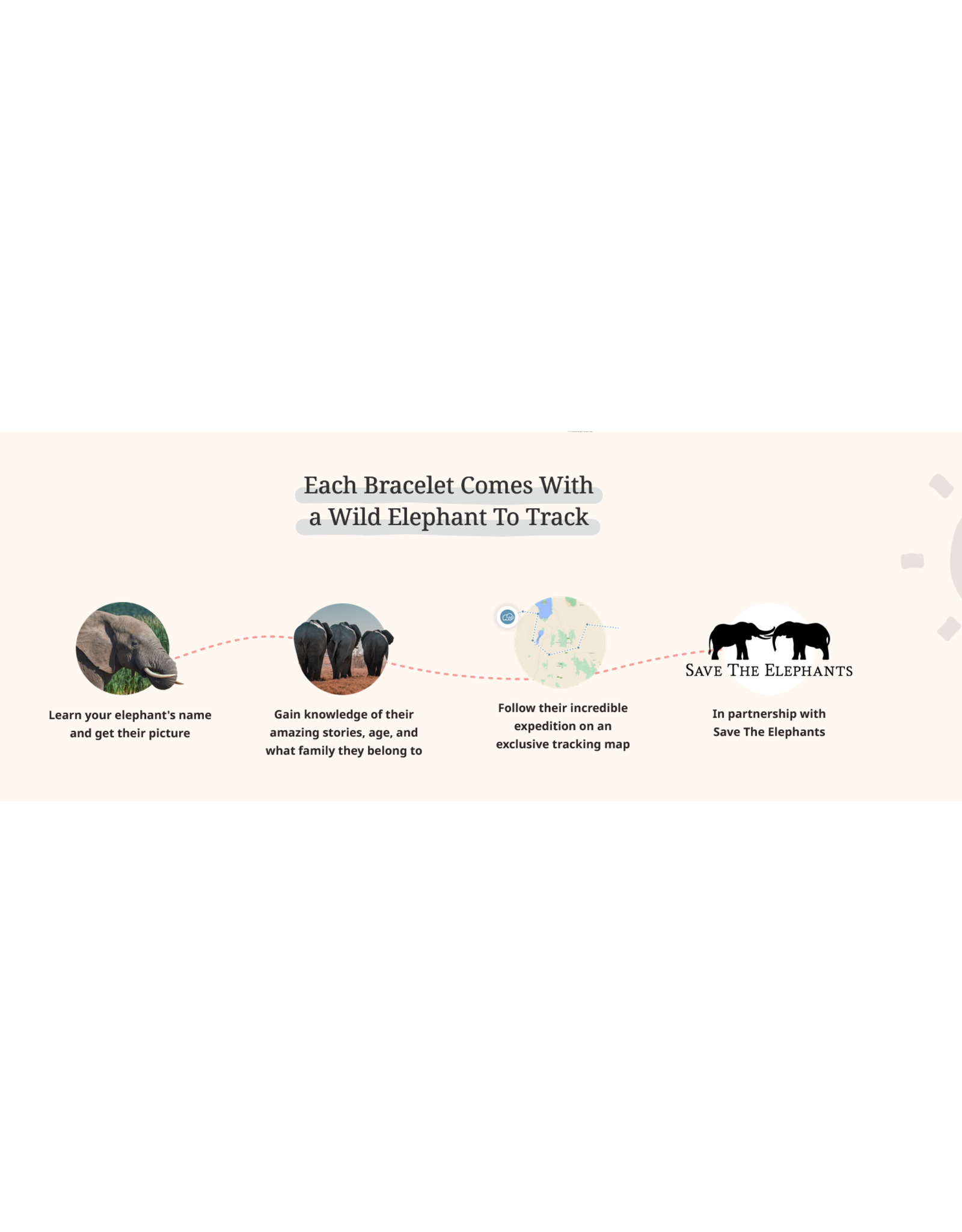 Fahlo Fahlo W-EXP Expedition Elephant Bracelet Desert Stone