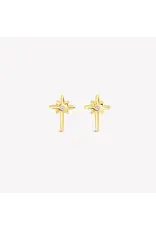 Rizen Rizen 290022GD-CZ Adoring Star Stud Earring Gold