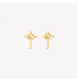 Rizen Rizen 290022GD-CZ Adoring Star Stud Earring Gold