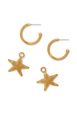 Brighton Brighton JA0174 Twilight Waters Starfish Hoop Earrings