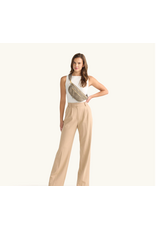 Hammitt Hammitt 17368 Charles Crossbody Med Pewter Brushed Gold