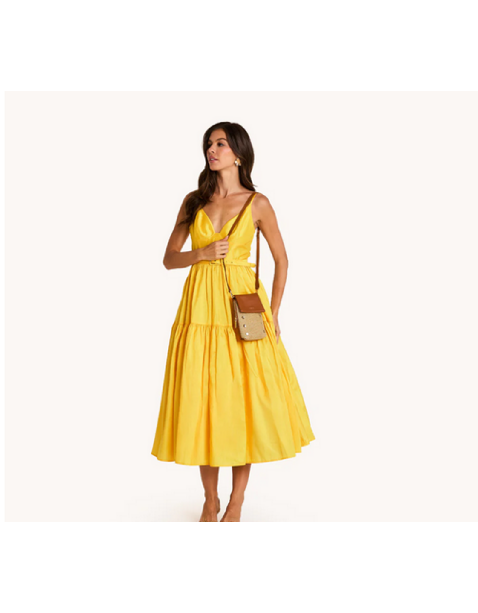 Hammitt Hammitt 17733 VIP Mobile Cocoa Raffia