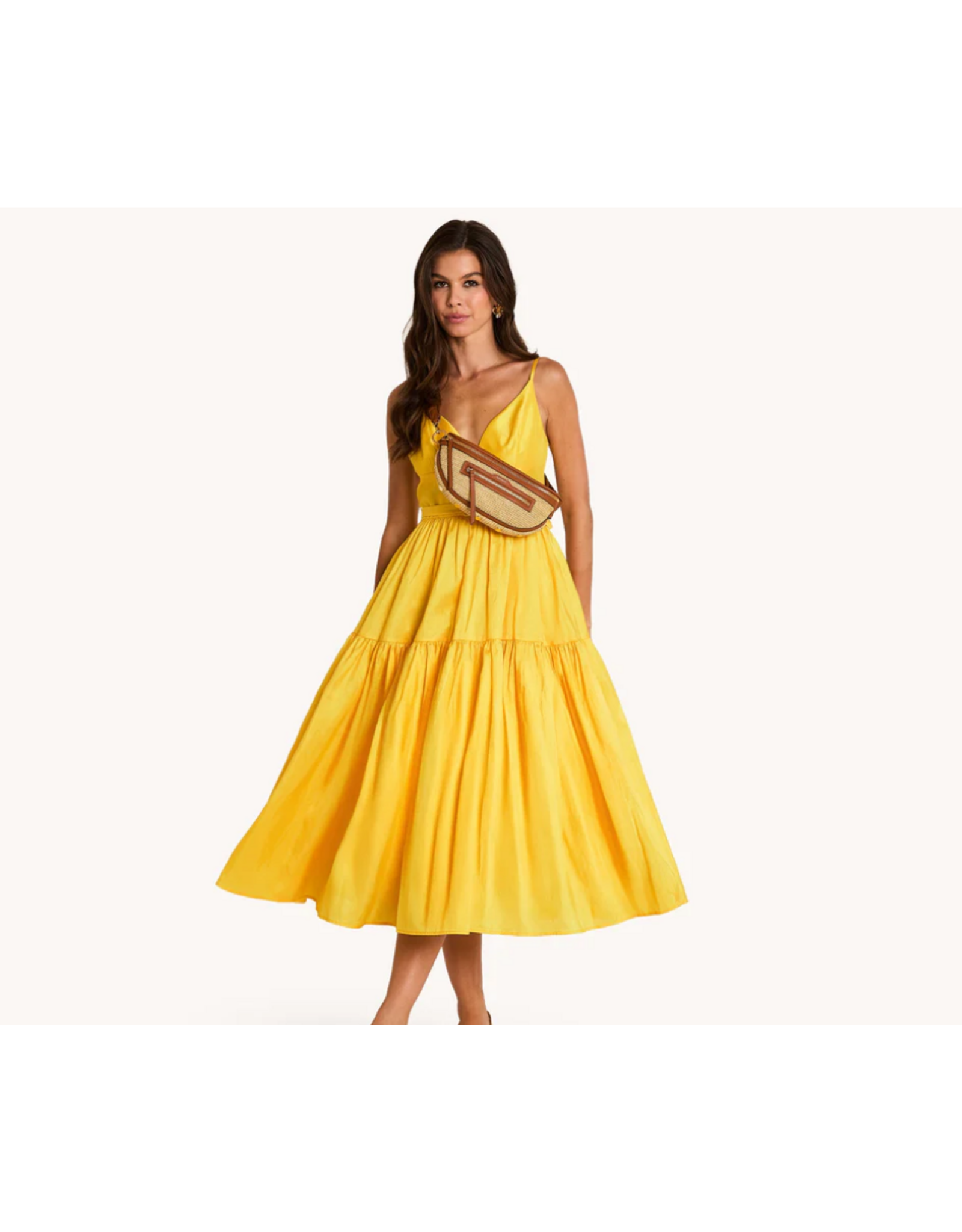 Hammitt Hammitt 17330 Charles Crossbody Med Cocoa Raffia