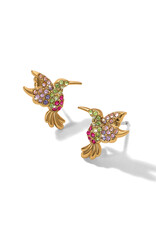 Brighton Brighton JA0328 Enchanting Gem Hummingbird Post Earrings
