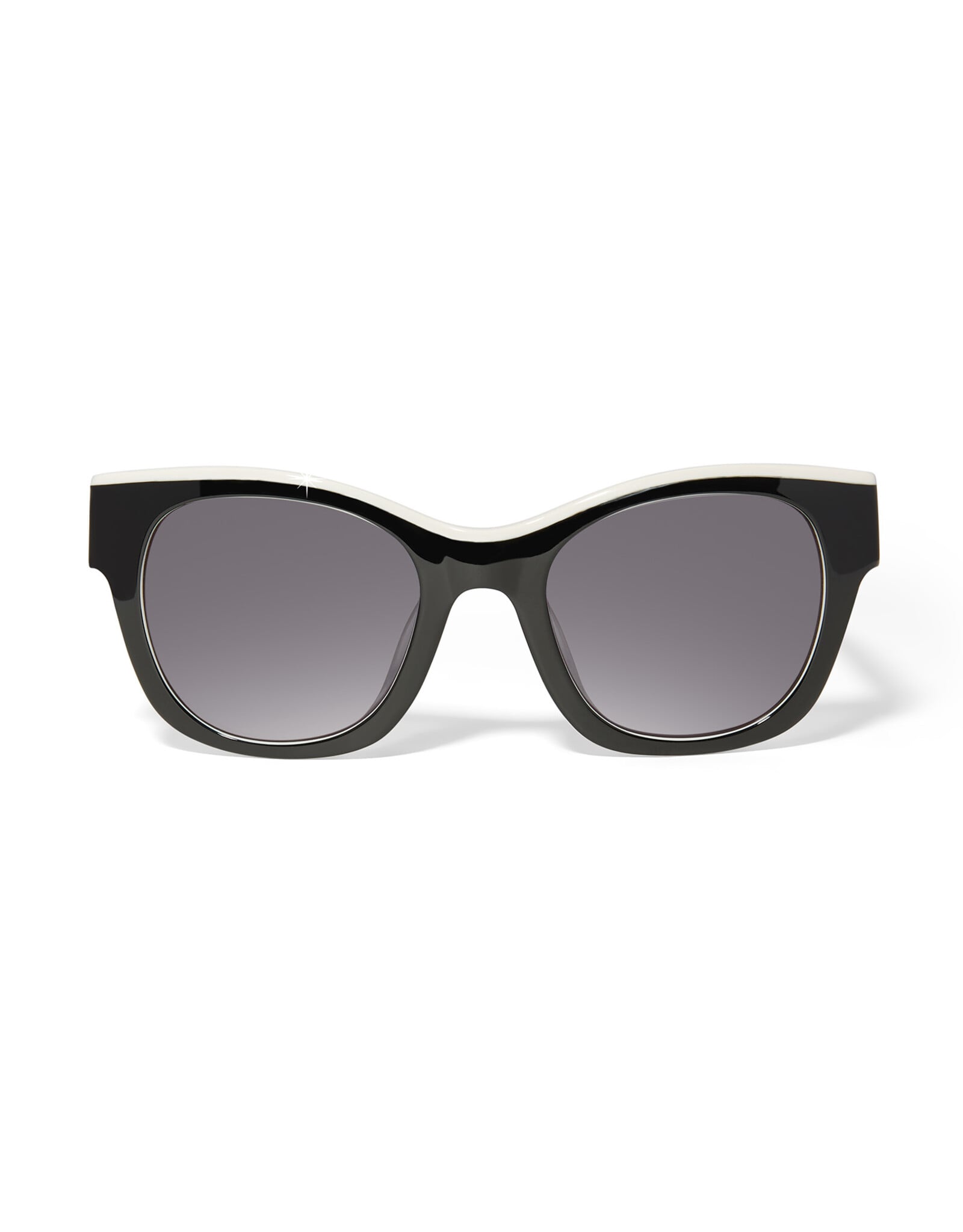 Brighton Brighton A13555 Contempo Medallion Dual Sunglasses