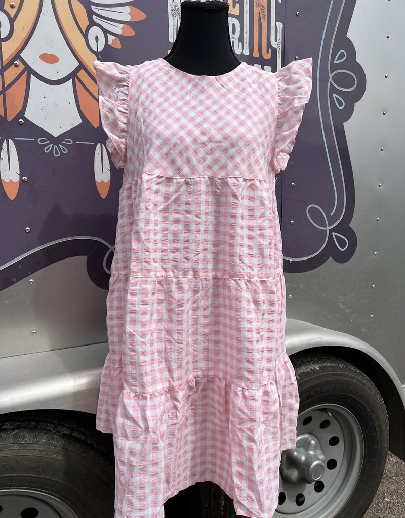 Wandering Wagon Pink and white gingham check dress  B8511