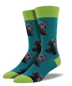 Labrador Dog ( Socksmith Socks )