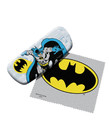 Dc Comics ( Eyeglass Case ) Batman