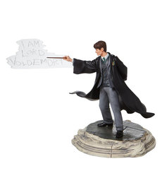 Wizarding World Tom Jedusor Figurine ( Harry Potter )