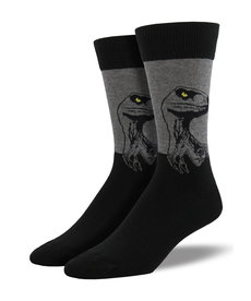 Raptors ( SockSmith Socks )