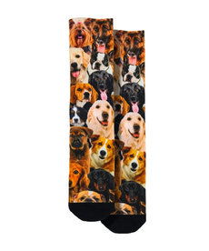 Dogs ( Socks )
