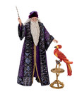 Bradford Exchange Albus Dumbledore Bradford Exchange Figurine ( Harry Potter )