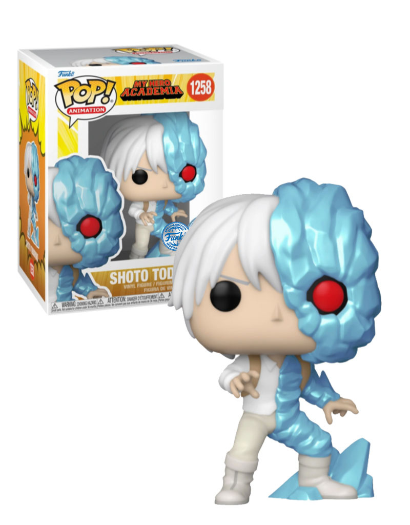 BOÎTE MYSTÈRE FUNKO - La boîte à folie / The crazy box