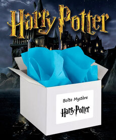 Mystery Box ( Harry Potter )