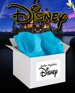 Mystery Box ( Disney )