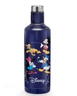 Disney ( Bouteille en Acier Inoxidable Bradford Exchange ) Personnages