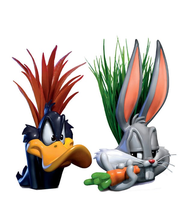 Bradford Exchange Duo de Plantes Bradford Exchange ( Looney Tunes ) Daffy Duck & Bugs Bunny ( ATL )