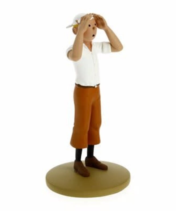 Tintin ( Figurine de Collection 15 cm ) Tintin desert