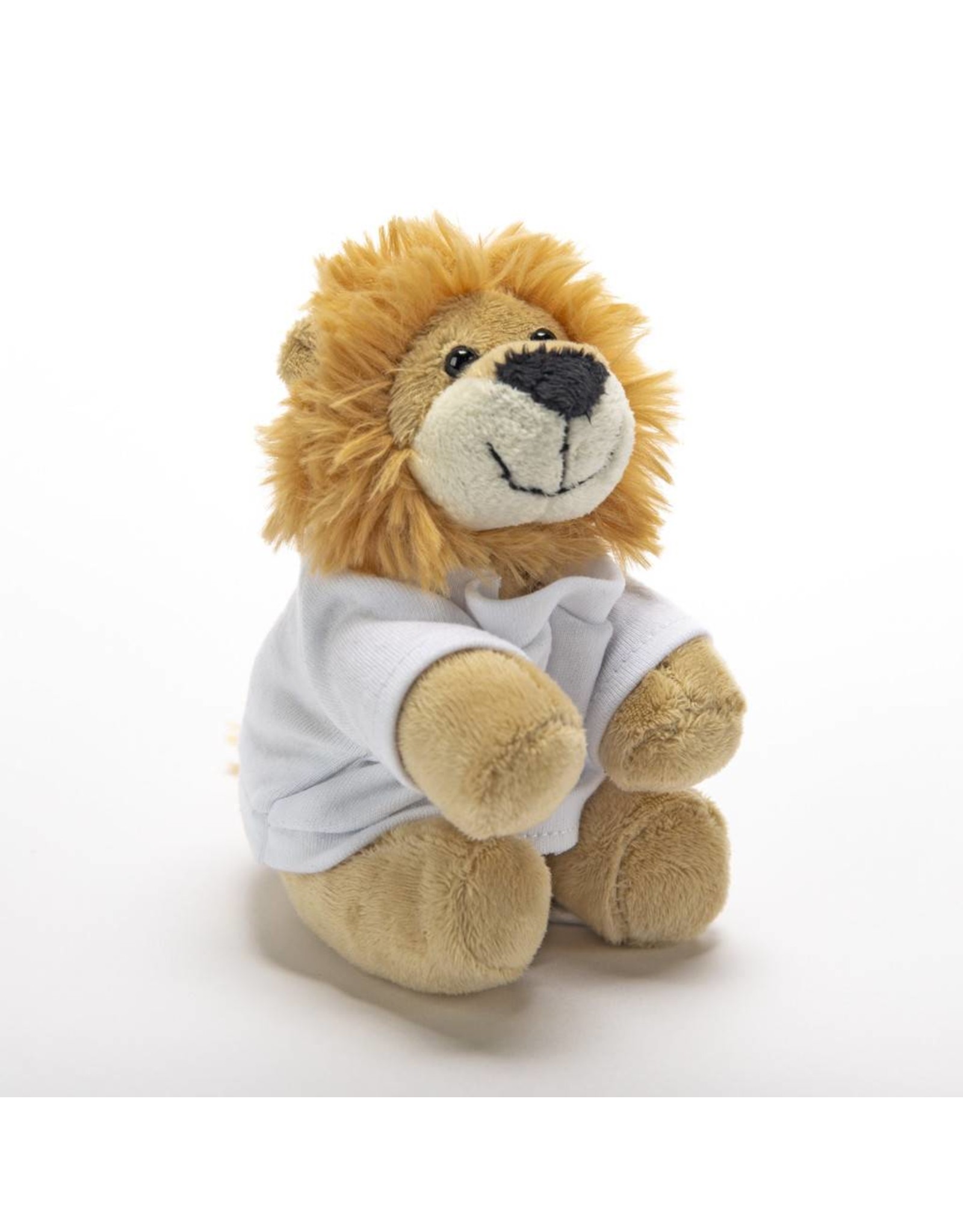 The Mariners' Museum and Park Stuffed Lion