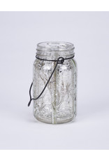 LED玻璃梅森罐闪闪发光的桦木树枝