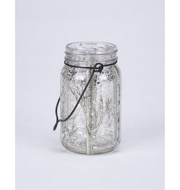 LED玻璃梅森罐闪闪发光的桦木树枝