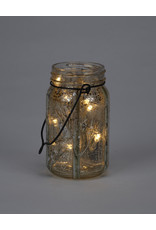 LED玻璃梅森罐闪闪发光的桦木树枝