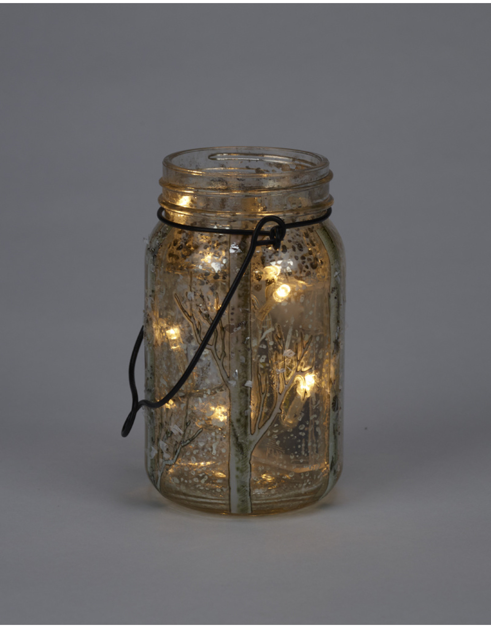 LED玻璃梅森罐闪闪发光的桦木树枝