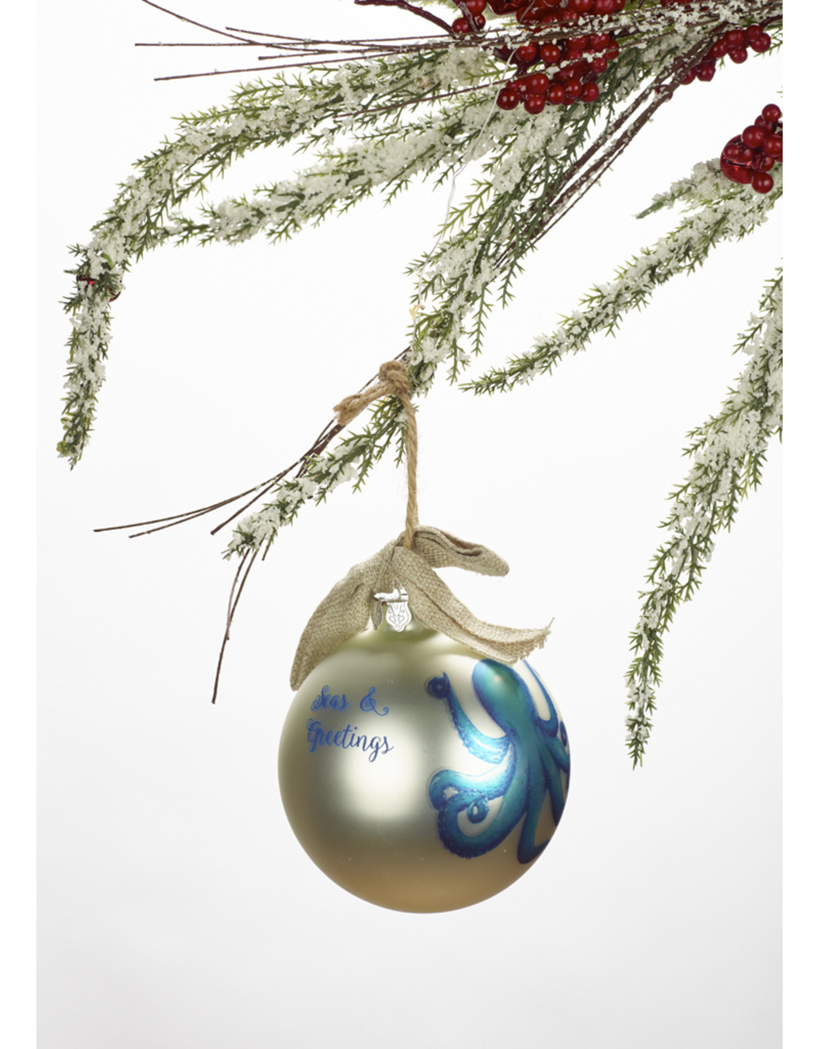 海洋和问候海洋生物装饰