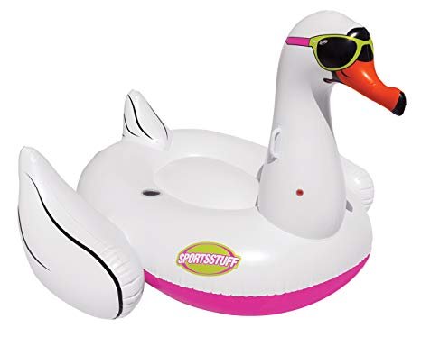 Airhead Cool Swan Float