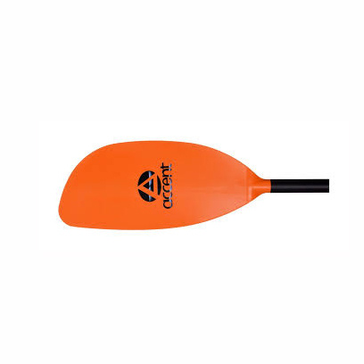 Accent Accent Rage Paddle