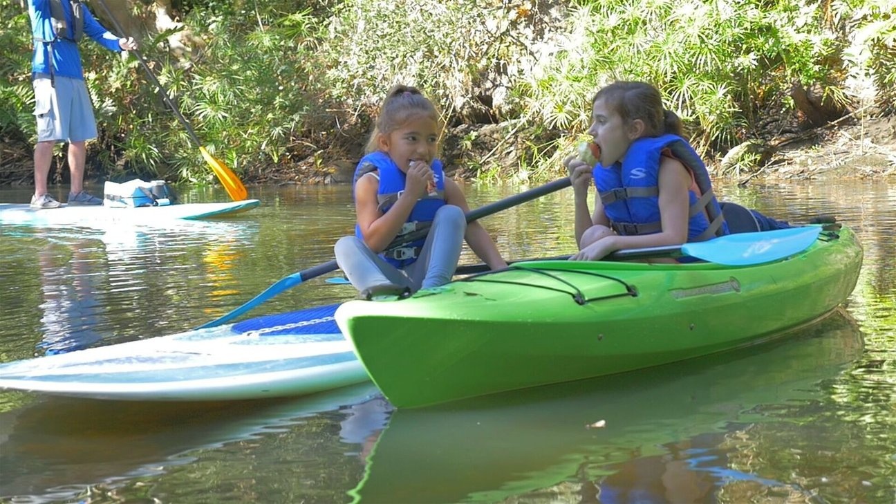 Accent Wahoo Kids Slider Paddle