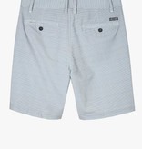 O'Neill O'Neill Stockton Stripe Hybrid Shorts