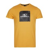 O'Neill O'Neill Cube Hybrid Shirt
