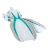 Oceanic Manta Ray Fins