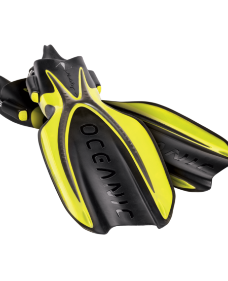 Manta Ray Fins