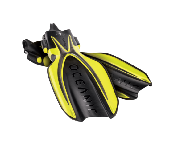 Oceanic Manta Ray Fins