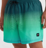 O'Neill Men's Cali Gradient 15" Short