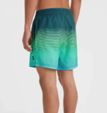 O'Neill Men's Cali Gradient 15" Short